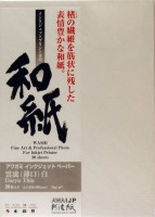 Awagami AIP Unryu Thin, A4 20 Blatt