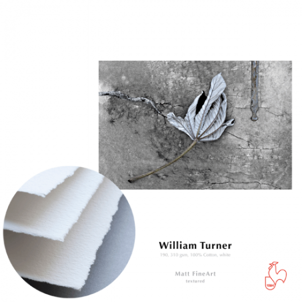 Hahnemühle William Turner 310g, DIN A2, 25 Blatt, mit gerissenem Büttenrand